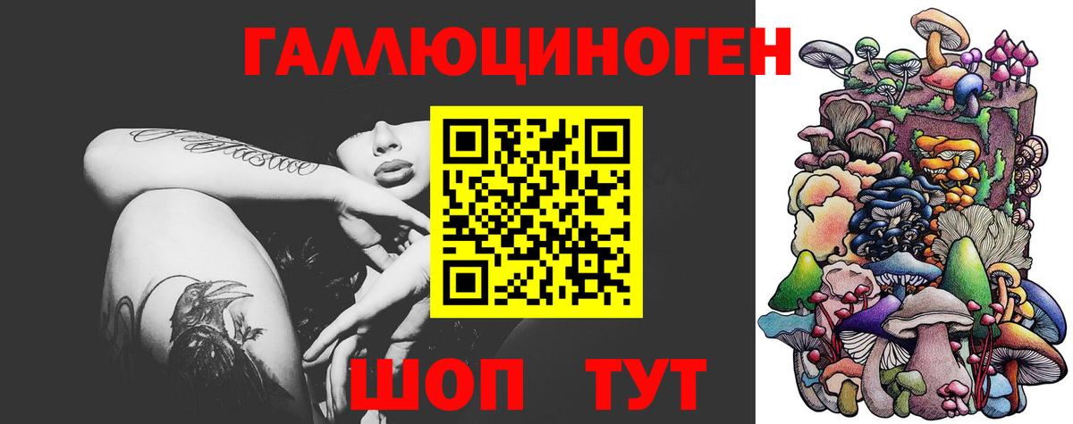 Псилоцибиновые грибы MAGIC MUSHROOMS  Вход с VPN  где купить наркоту  Улан-Удэ 