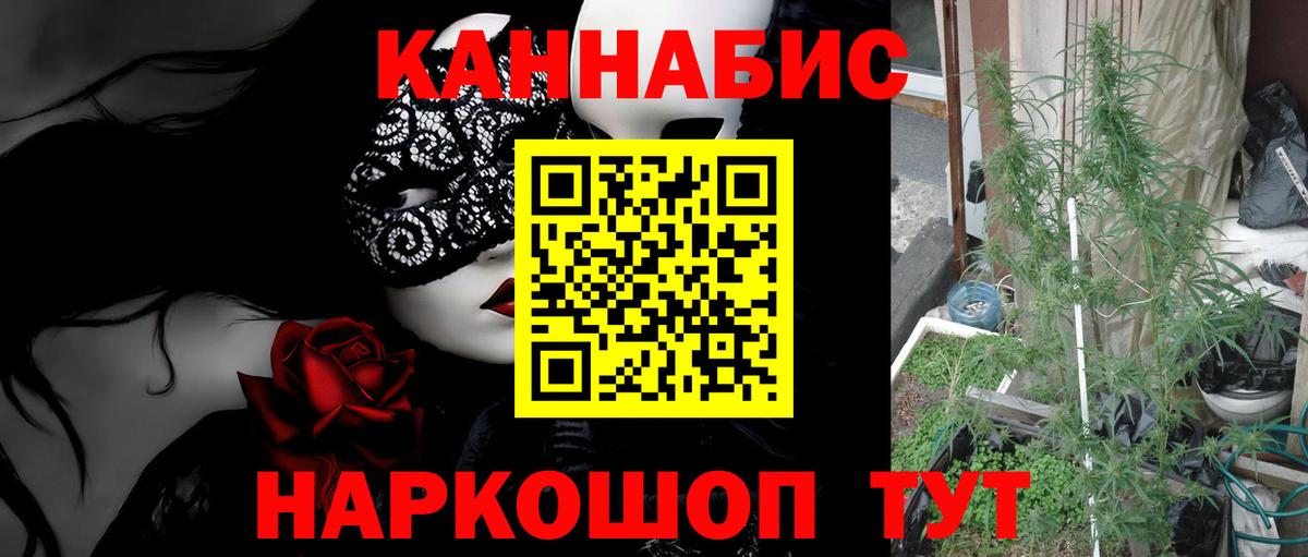 Шишки марихуана Amnesia  Марихуана White Widow  Бошки марихуана ГИДРОПОН  Вход с VPN  Конопля марихуана  Улан-Удэ 